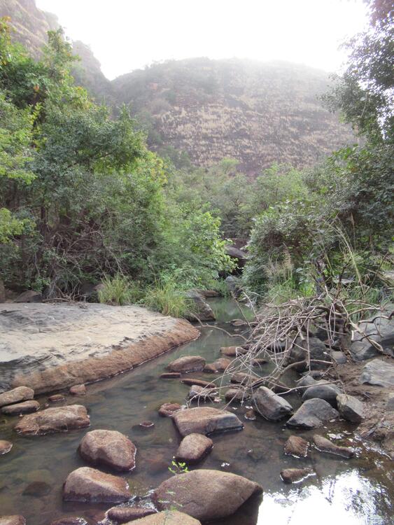 Kunji hulunŋo
